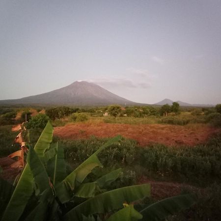 Khrisna Sunrise Homestay Tulamben 객실 사진