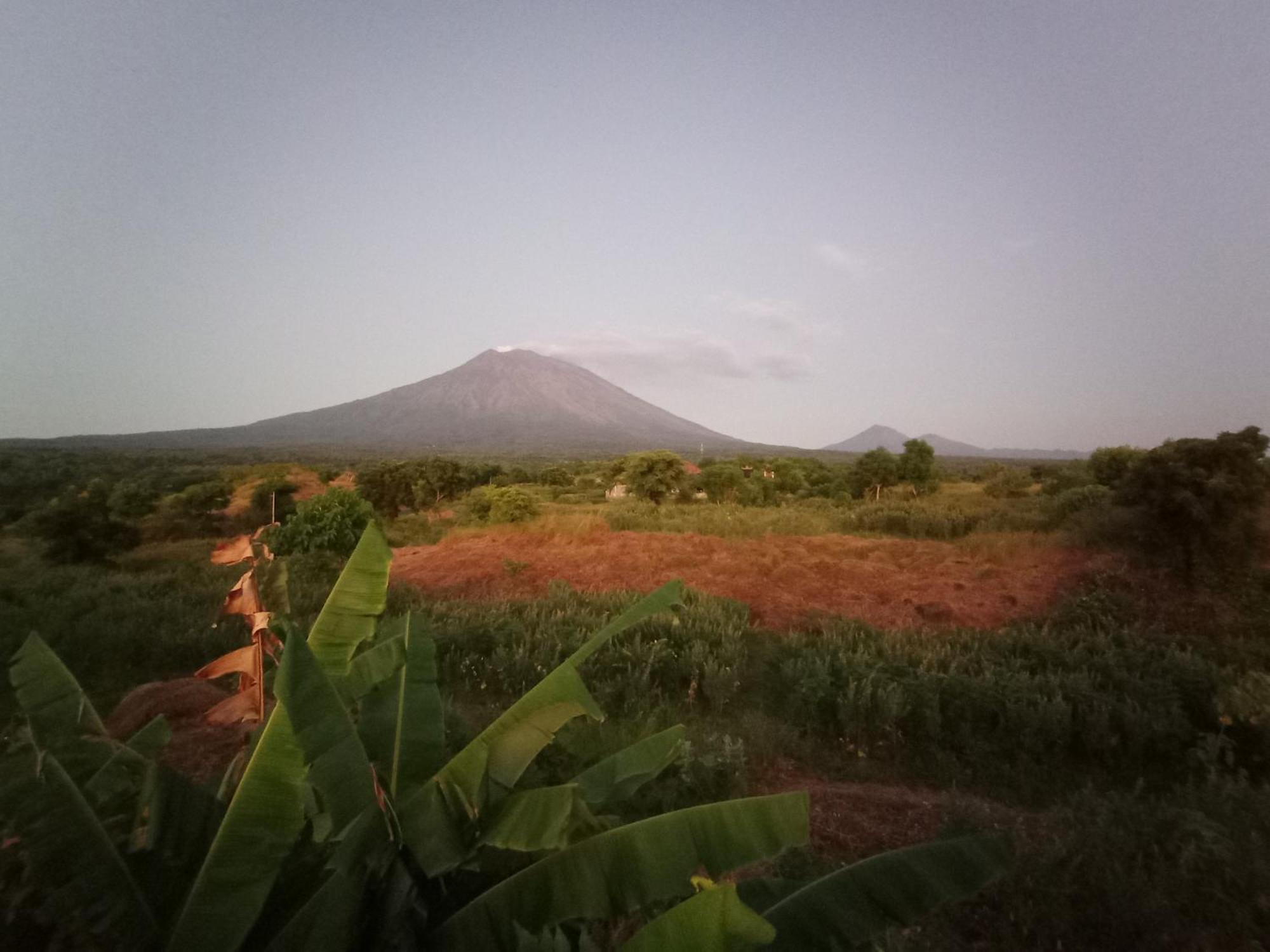 Khrisna Sunrise Homestay Tulamben 객실 사진
