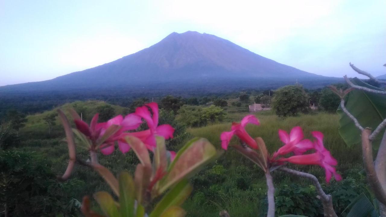 Khrisna Sunrise Homestay Tulamben 외부 사진