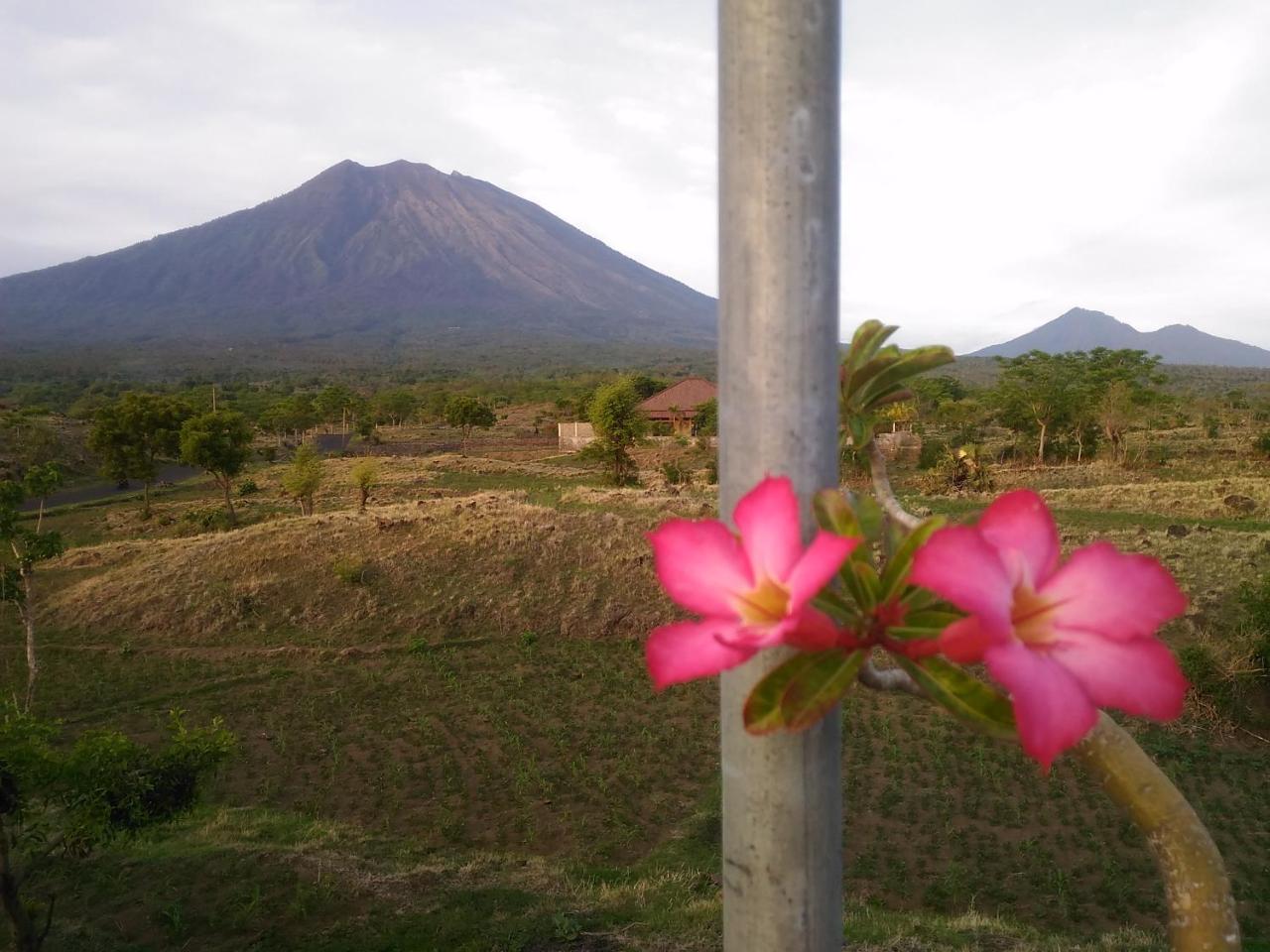 Khrisna Sunrise Homestay Tulamben 외부 사진